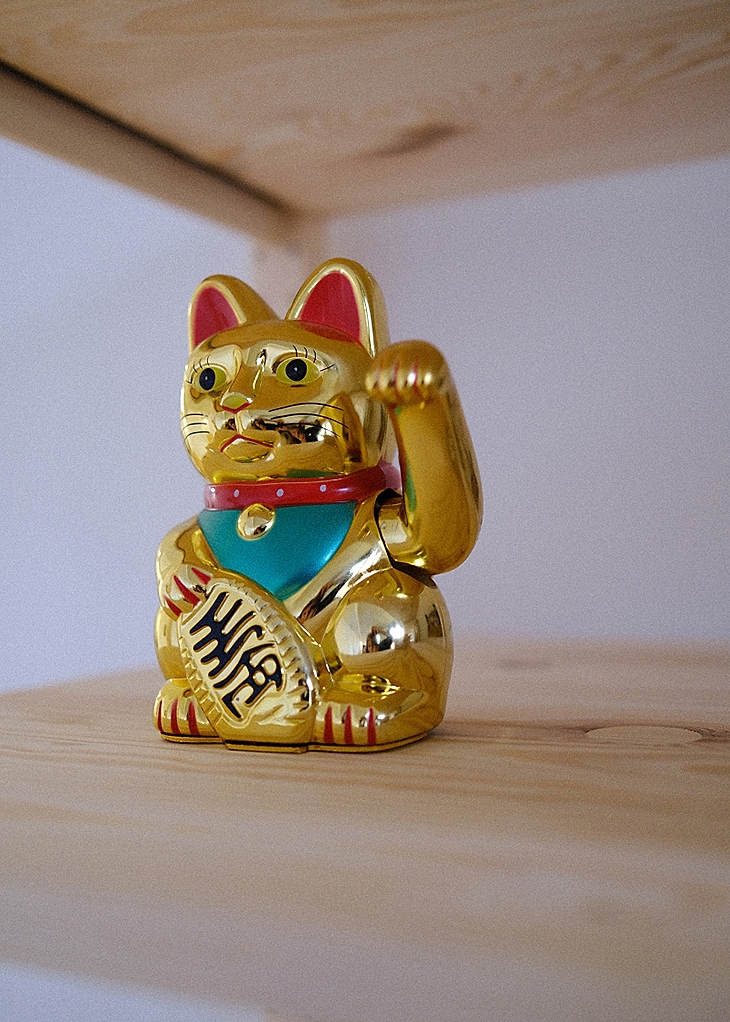 Winkekatze im Studio